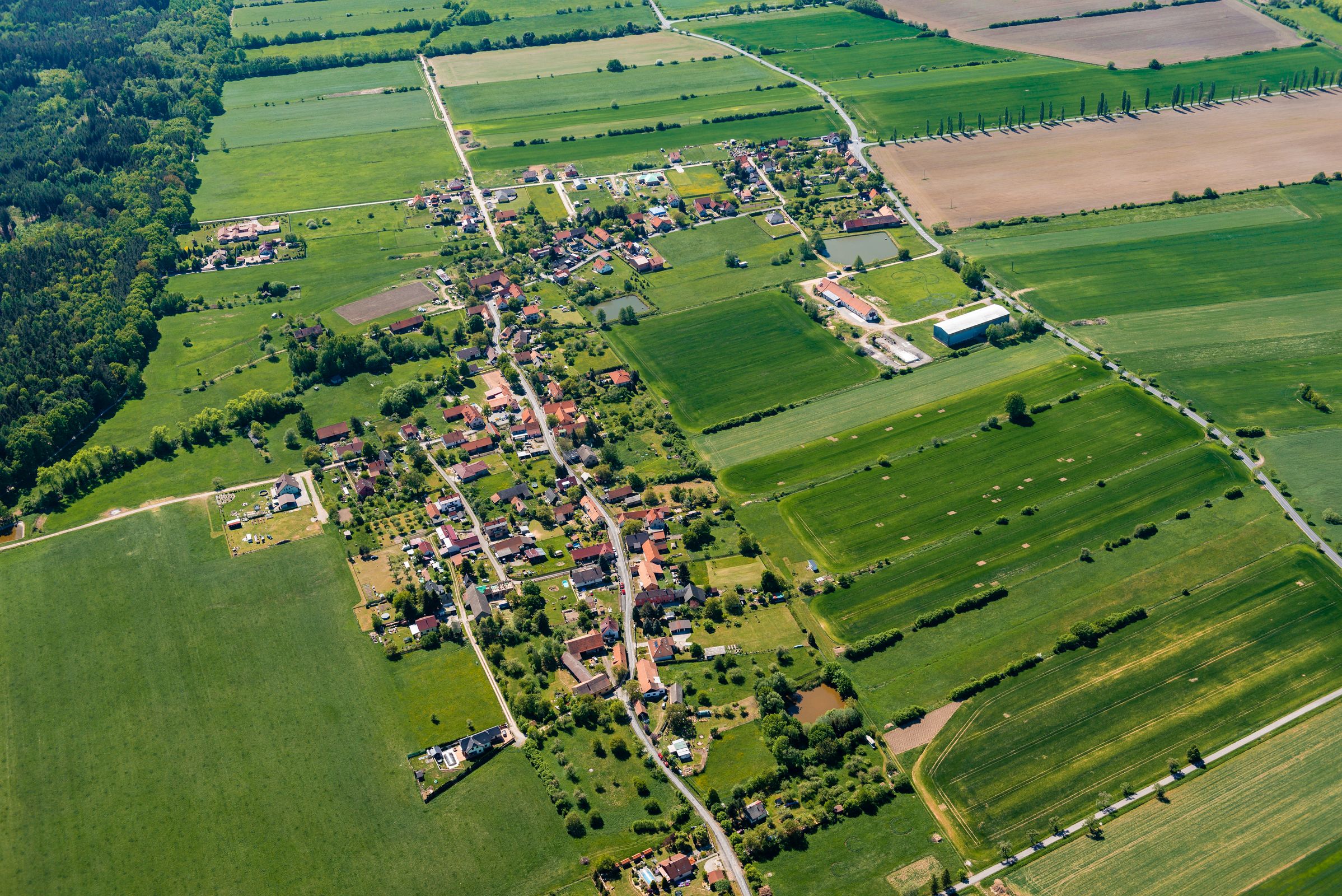 Obecní znak